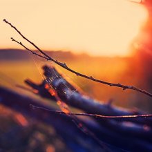 about sunset / ***