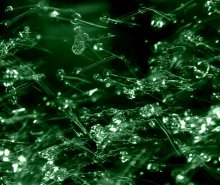 emerald streams / ***