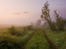 DAWN / ***