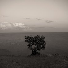 ... Solitude am Rande der Erde ... / .............