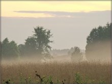 dawns / .....