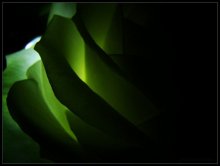 on the circles of life / ***