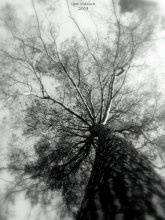 Look into the sky 2 / ***