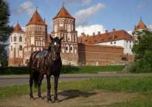 Mirsky horse / ***