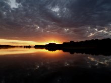 Dawn of the Wild / ***