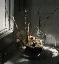 Play of light / ***