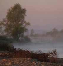 &quot;Silence&quot; / ***