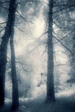 Awake / ***