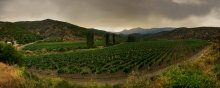 ... In anticipation of the harvest season ... / ***