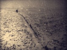 black path ... / eKG...