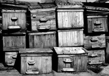 Hives / ...........