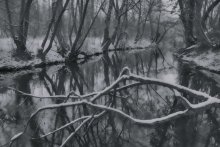 the river. / ***