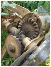 mechanisms / .........