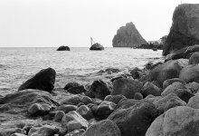 Coast / ***