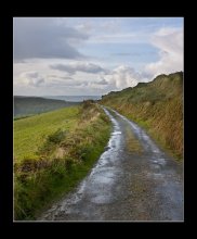 mountain road / ***
