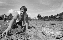 About harvesting / ***