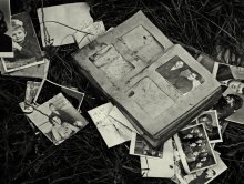 someone's thrown the story ... / .....