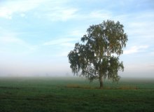 Three days before autumn / ***