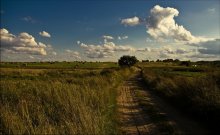 Field .. / ***