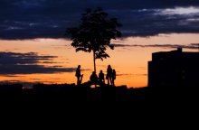Sunset / ***