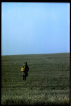 escapes / ***