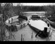 Quiet Harbor / -----------