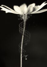 The Secret Life of 1. / ***