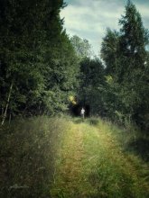 On the way into the dark forest ... / ***