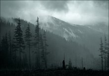 Grim peyzazhik / *****
