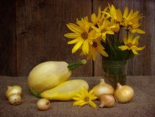 Onion Pumpkin Still Life / ***