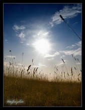 already autumn / .....................
