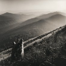 Guardian / ***