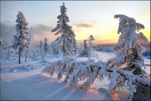 Shortest day of the Kolyma River. / ***