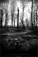 [ all that remains ] / ...comments