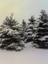 Last days of winter / ***
