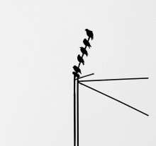 Zeit zu fliegen weg / ***