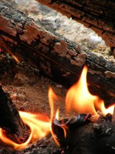 Feuer / ***