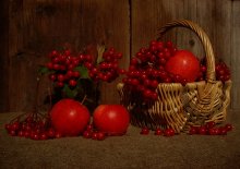 Kalinovoe still life / ***