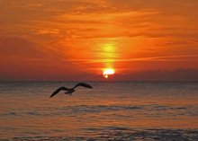 Ushod sun, sun / ***