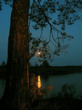 Nieman moon ... / ***