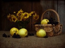Chernoryabinovy Still Life (repost) / ***