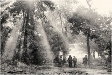mushroom pickers / *****