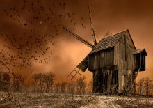 Magician on the field of wind / ***