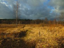 Autumn / ***