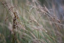 windy / ***