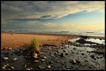 Evening Light / -------
