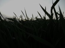 Trav_ / .....