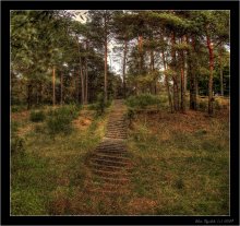 ...... A trail ......... / ***