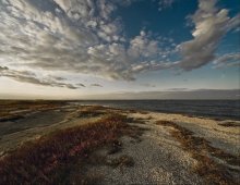 Far spit-V / ***