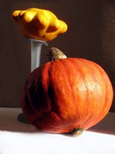 rot / ***